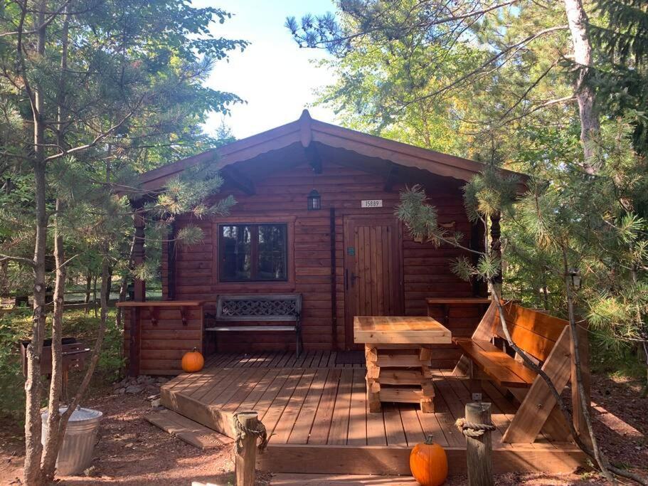 Honeybear Hideaway Cabin Hayward Dış mekan fotoğraf