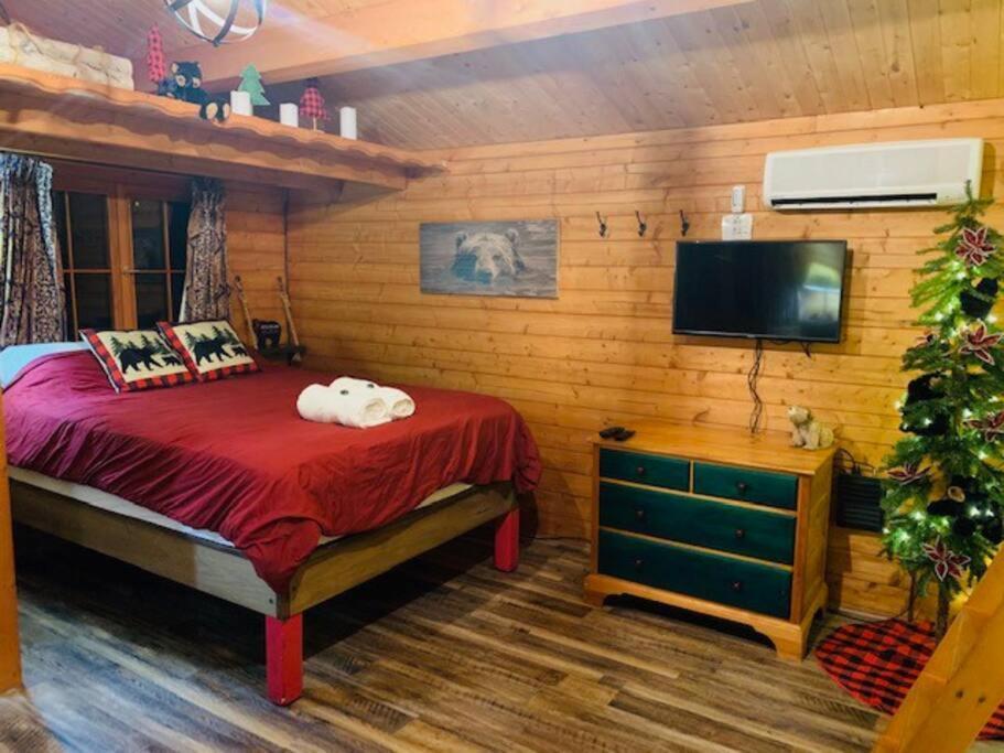 Honeybear Hideaway Cabin Hayward Dış mekan fotoğraf