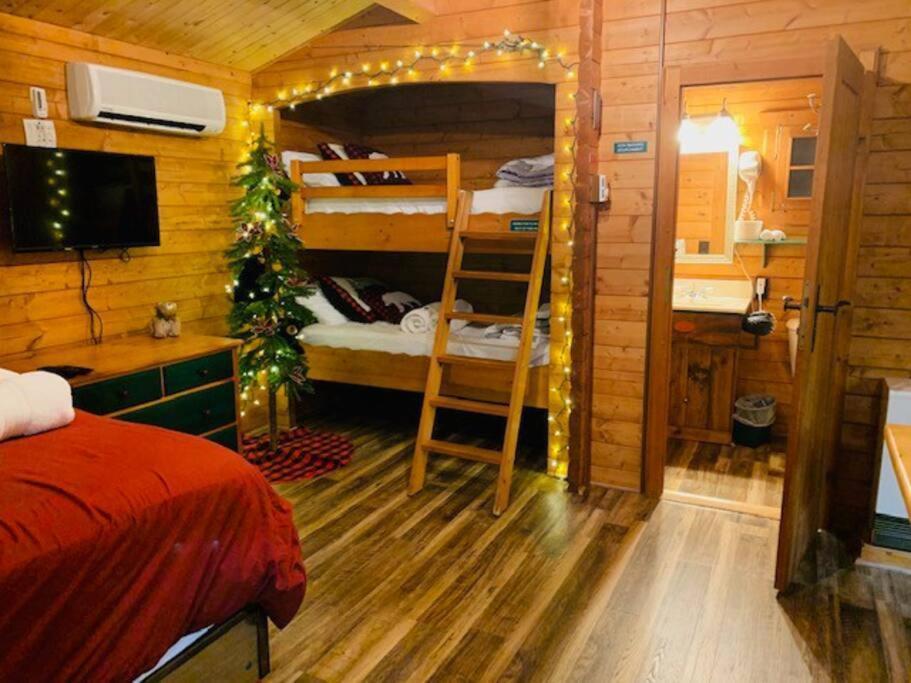 Honeybear Hideaway Cabin Hayward Dış mekan fotoğraf