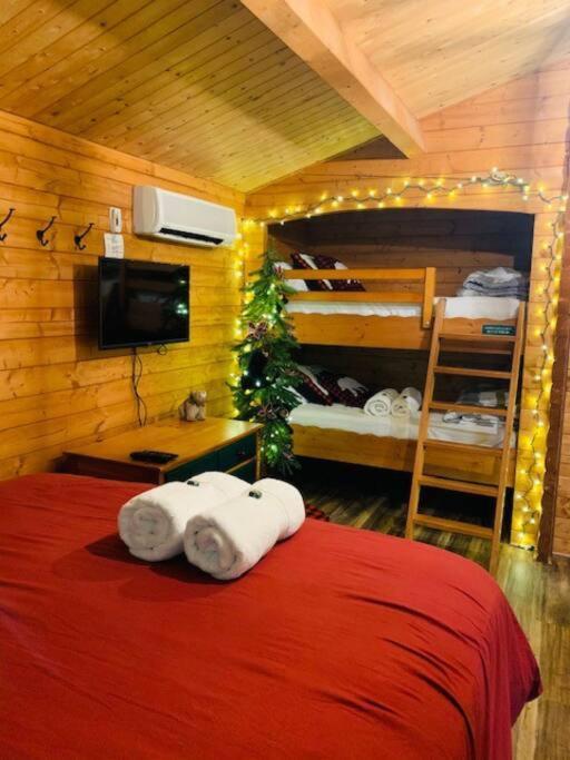 Honeybear Hideaway Cabin Hayward Dış mekan fotoğraf