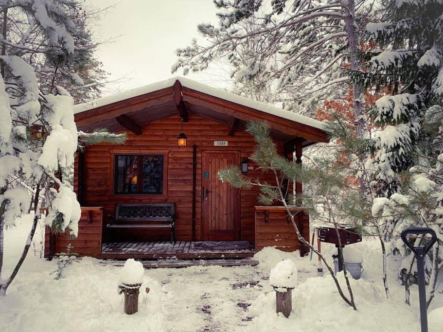 Honeybear Hideaway Cabin Hayward Dış mekan fotoğraf