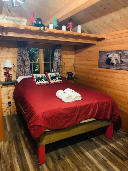 Honeybear Hideaway Cabin Hayward Dış mekan fotoğraf