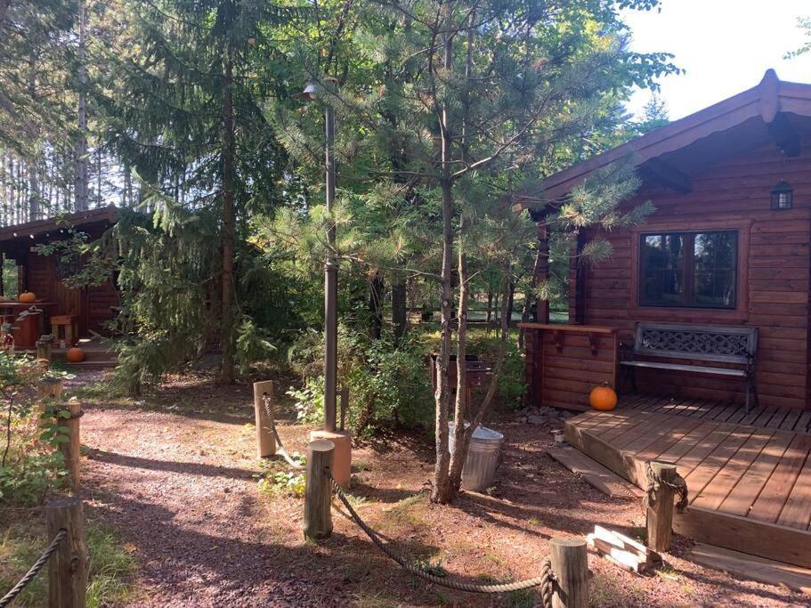 Honeybear Hideaway Cabin Hayward Dış mekan fotoğraf