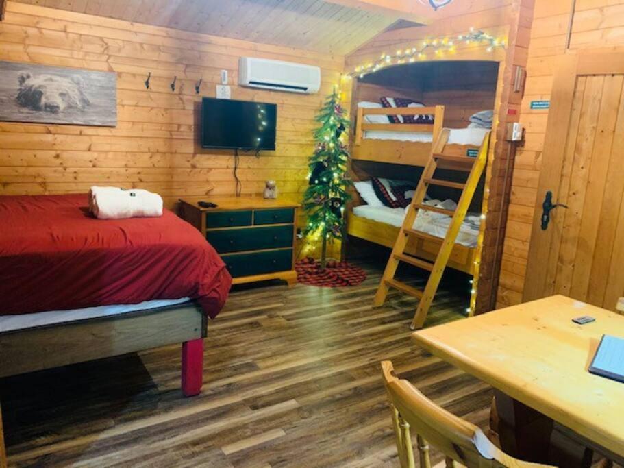 Honeybear Hideaway Cabin Hayward Dış mekan fotoğraf