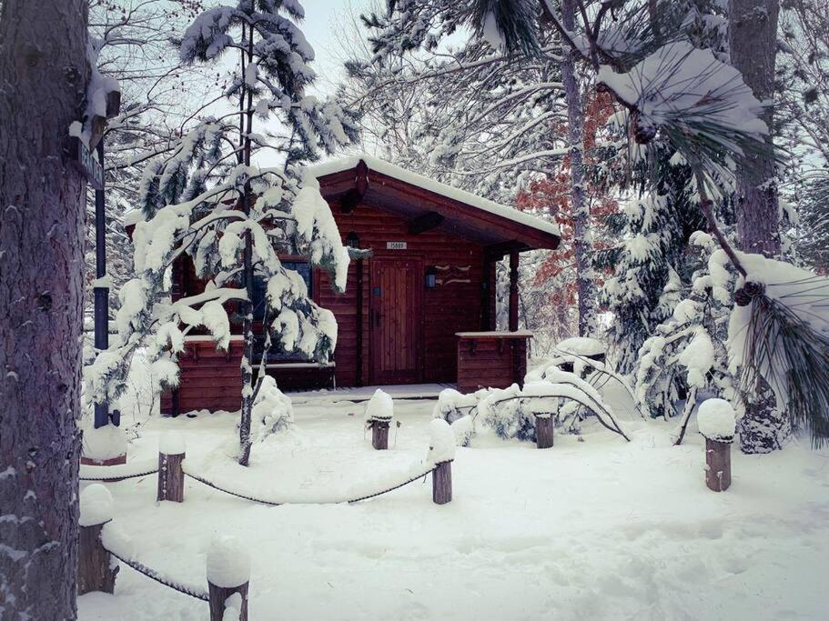 Honeybear Hideaway Cabin Hayward Dış mekan fotoğraf