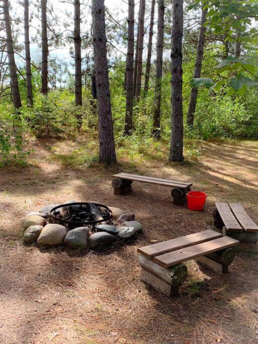 Honeybear Hideaway Cabin Hayward Dış mekan fotoğraf