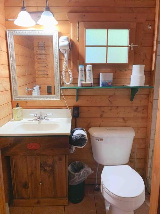 Honeybear Hideaway Cabin Hayward Dış mekan fotoğraf