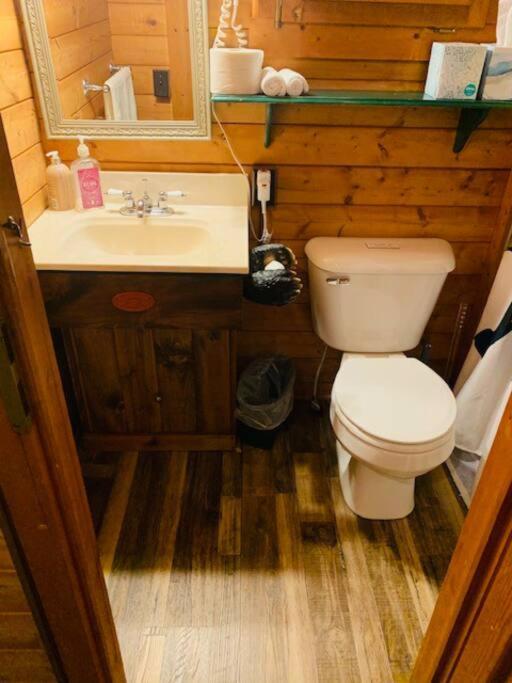 Honeybear Hideaway Cabin Hayward Dış mekan fotoğraf