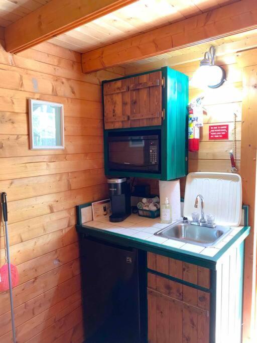 Honeybear Hideaway Cabin Hayward Dış mekan fotoğraf