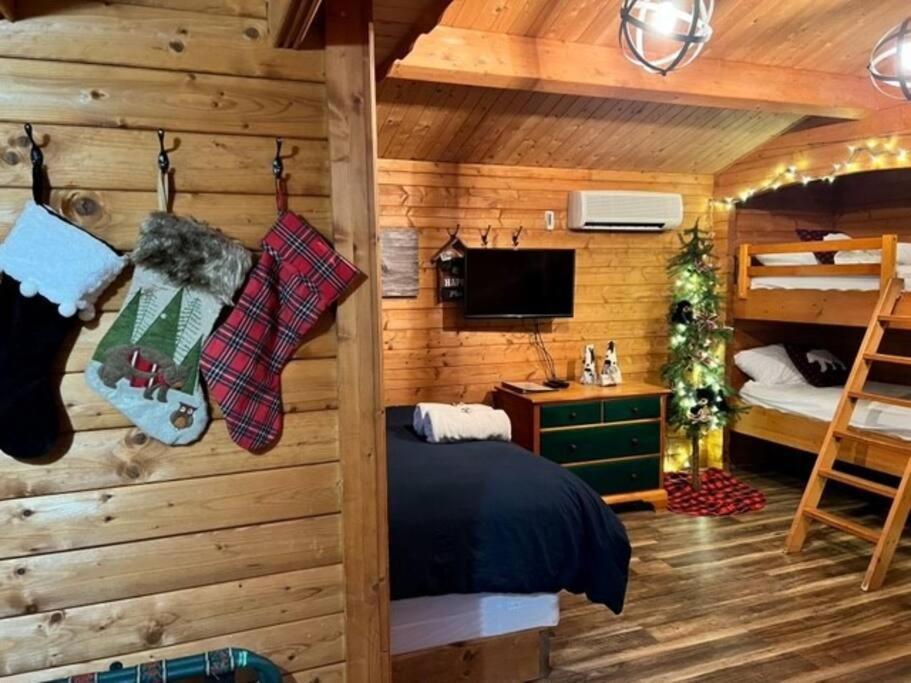 Honeybear Hideaway Cabin Hayward Dış mekan fotoğraf